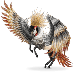 cal nomad pasăre balearica