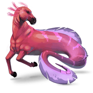 cal nomad 7 mări indiana