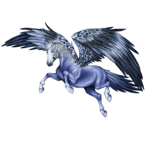 cal nomad pasăre melopsis