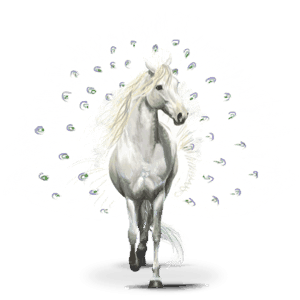 cal nomad pasăre pavos