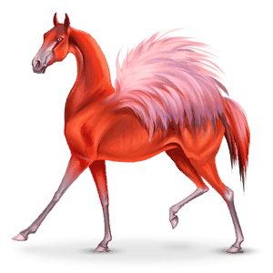 cal nomad pasăre phoenico